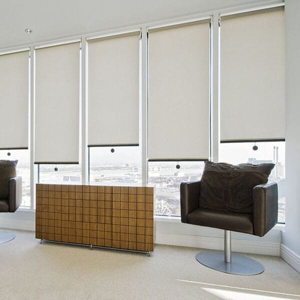 Рулонные шторы для организаций